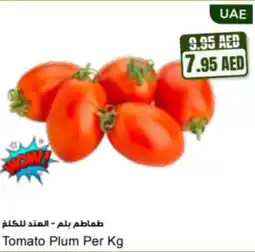 Almaya supermarket Tomato Plum offer
