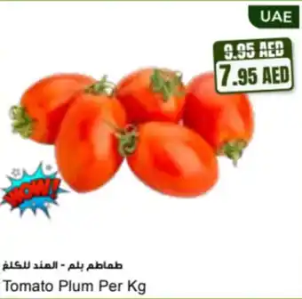 Almaya supermarket Tomato Plum offer