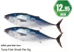 Almaya supermarket Tuna Fish Small offer