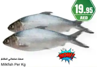Almaya supermarket Milkfish offer