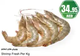 Almaya supermarket Shrimp Fresh offer