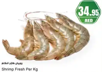 Almaya supermarket Shrimp Fresh offer