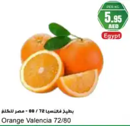 Almaya supermarket Orange Valencia 72/80 offer