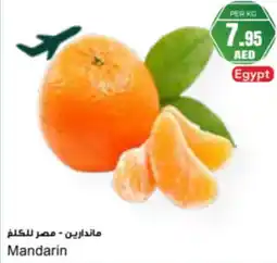 Almaya supermarket Mandarin offer