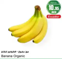Almaya supermarket Banana Organic offer
