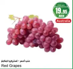 Almaya supermarket Red Grapes offer