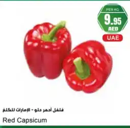 Almaya supermarket Red Capsicum offer