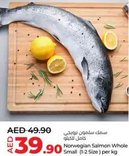 Lulu Hypermarket Norwegian Salmon Whole Small (1-2 Size) offer