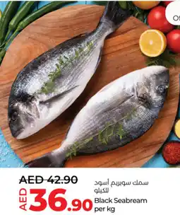 Lulu Hypermarket Black Seabream offer
