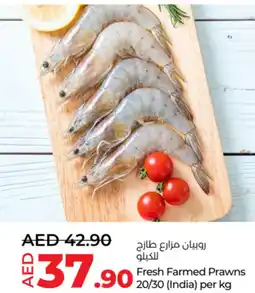 Lulu Hypermarket Fresh Farmed Prawns 20/30 offer
