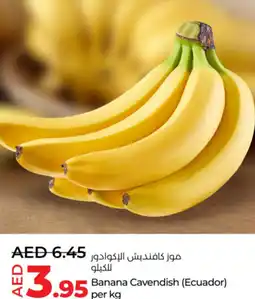 Lulu Hypermarket Banana Cavendish offer