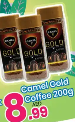 Everyday Center Camel Gold Coffee offer