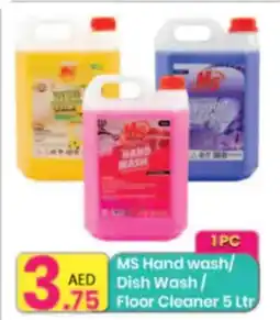 Everyday Center MS Hand Wash / Dish Wash / Floor Cleaner offer