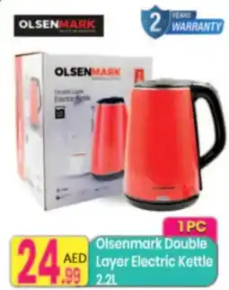 Everyday Center Olsenmark double layer electric kettle offer