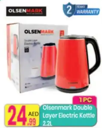 Everyday Center Olsenmark double layer electric kettle offer