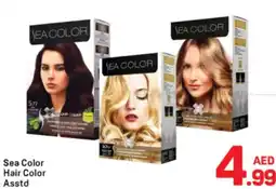 Day To Day Sea Color Hair Color Asstd offer