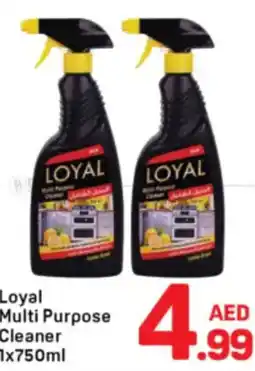 Day To Day Loyal multi purpose cleaner offer