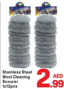 Day To Day Stainless steel wool cleaning scourer offer