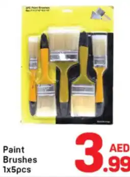 Day To Day Paint brushes offer