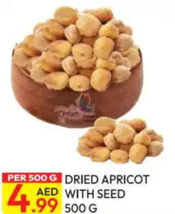 Dream Land Center Dried apricot with seed offer