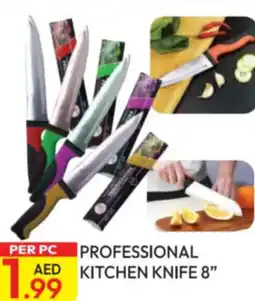 Dream Land Center Professional kitchen knife offer