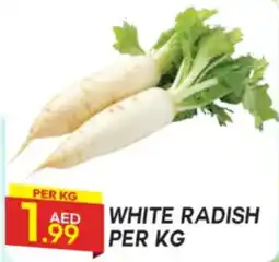 Dream Land Center White radish offer