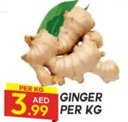 Dream Land Center Ginger offer
