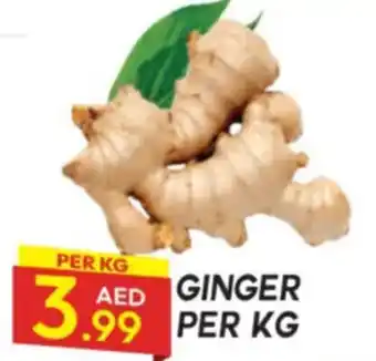 Dream Land Center Ginger offer