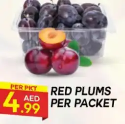 Dream Land Center Red plums offer
