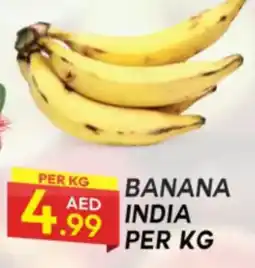 Dream Land Center Banana offer