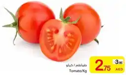 Ajman Market Tomato offer