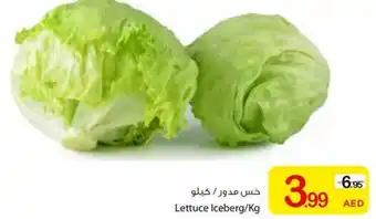 Ajman Market Lettuce offer