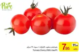 Ajman Market Tomato Cherry offer