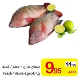 Ajman Market Fresh Tilapia offer