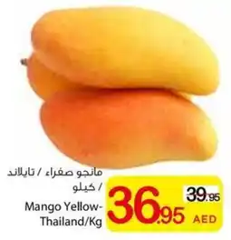 Ajman Market Mango Yellow offer