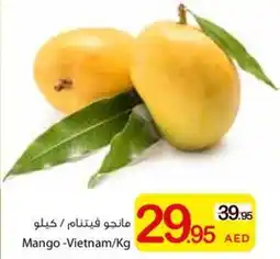 Ajman Market Mango offer