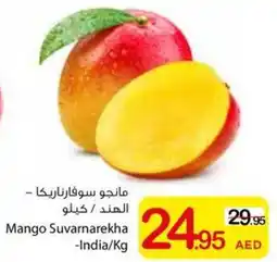 Ajman Market Mango Suvarnarekha offer