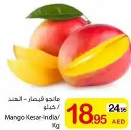 Ajman Market Mango Kesar offer