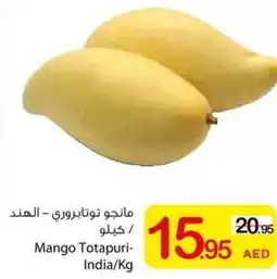 Ajman Market Mango Totapuri offer