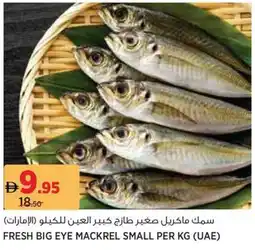 Géant Fresh big eye mackrel small offer