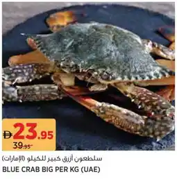 Géant Blue crab big offer