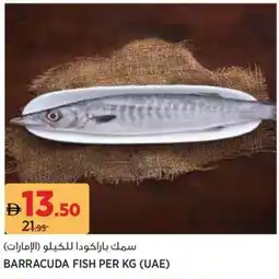 Géant Barracuda fish offer