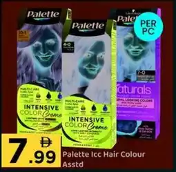 GATE Palette Icc Hair Colour Asstd offer