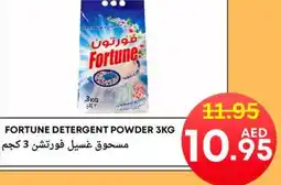 Metro Discount Center Fortune detergent powder offer