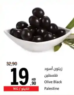 Sharjah Co-op Olive Black offer