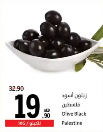 Sharjah Co-op Olive Black offer