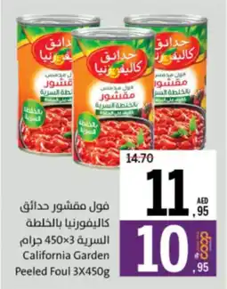 Sharjah Co-op California Garden Peeled Foul offer