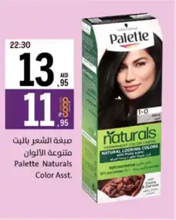 Sharjah Co-op Palette Naturals Color Asst offer