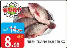 United Hypermarket Fresh tilapia fish offer