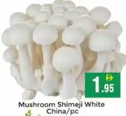 Pasons Mushroom Shimeji White China offer